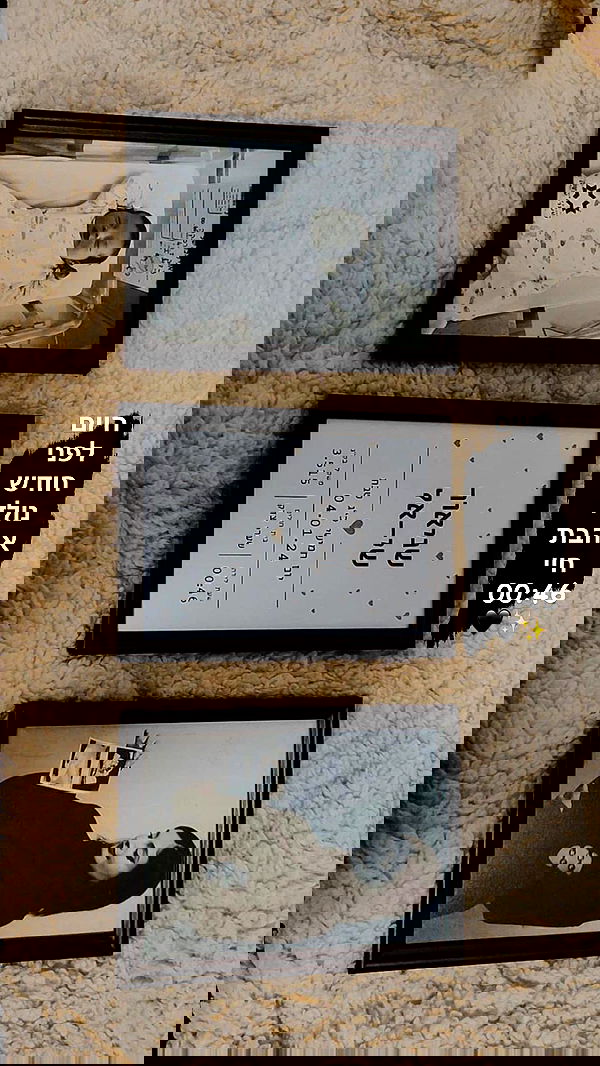 rebecka_tsadok rebecka_tsadok archive image