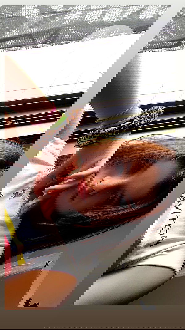 rene2141 rene2141 archive image