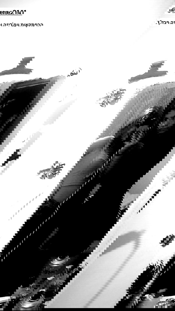 rene2141 rene2141 archive image