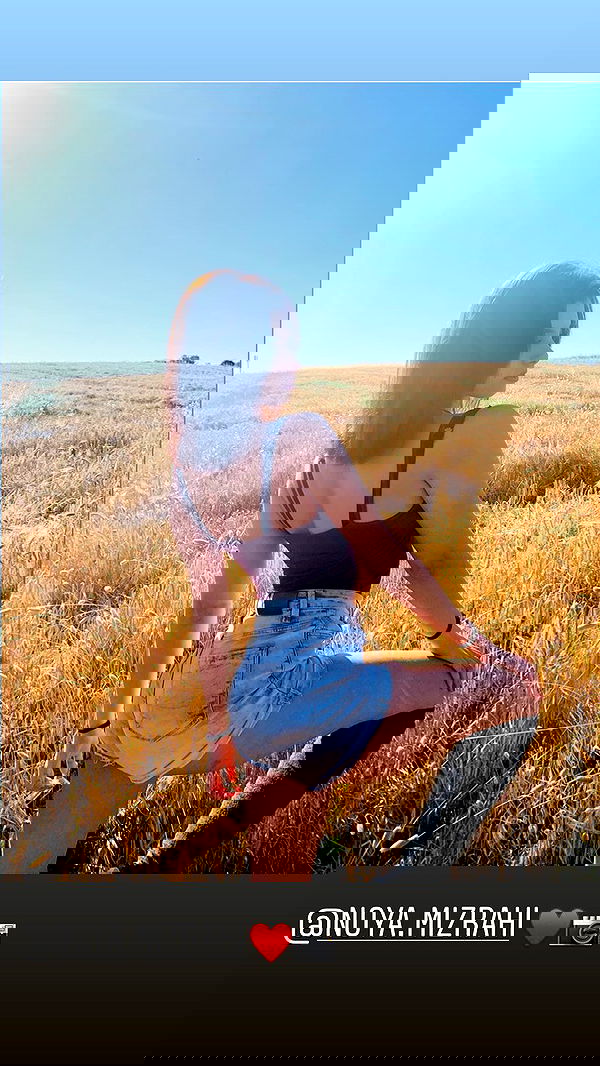 rene2141 rene2141 archive image