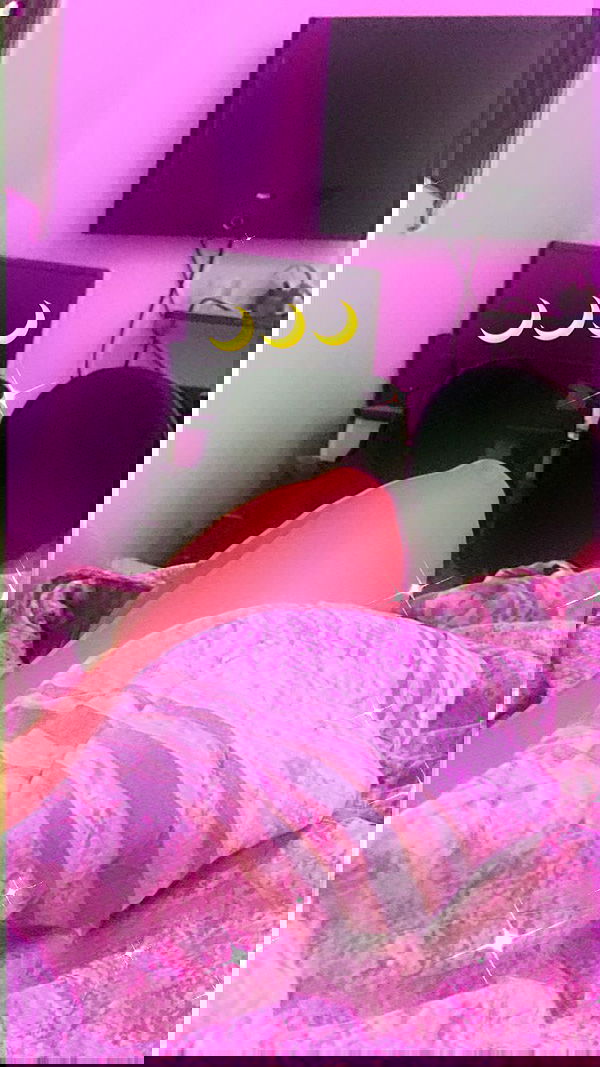 rene2141 rene2141 archive image