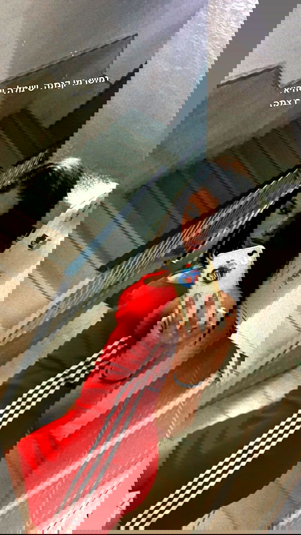 rene2141 rene2141 archive image