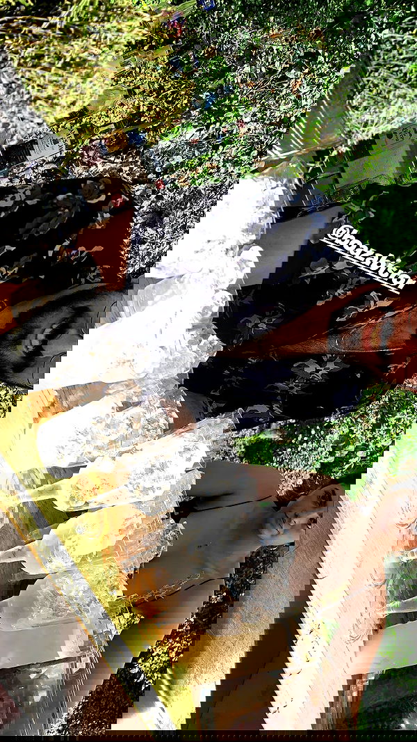 rene2141 rene2141 archive image