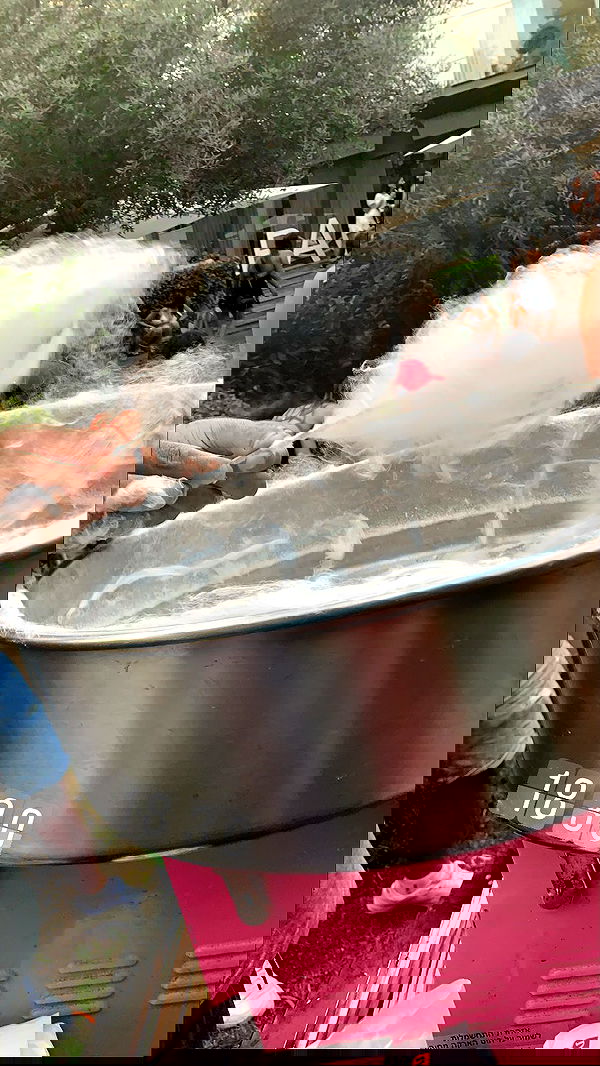 rene2141 rene2141 archive image