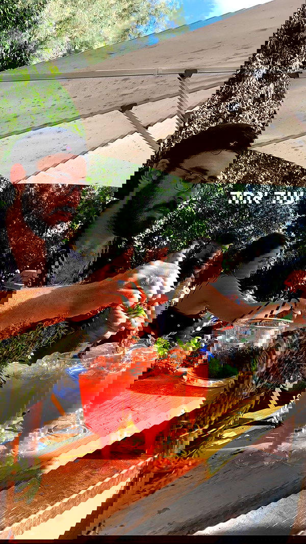 rene2141 rene2141 archive image