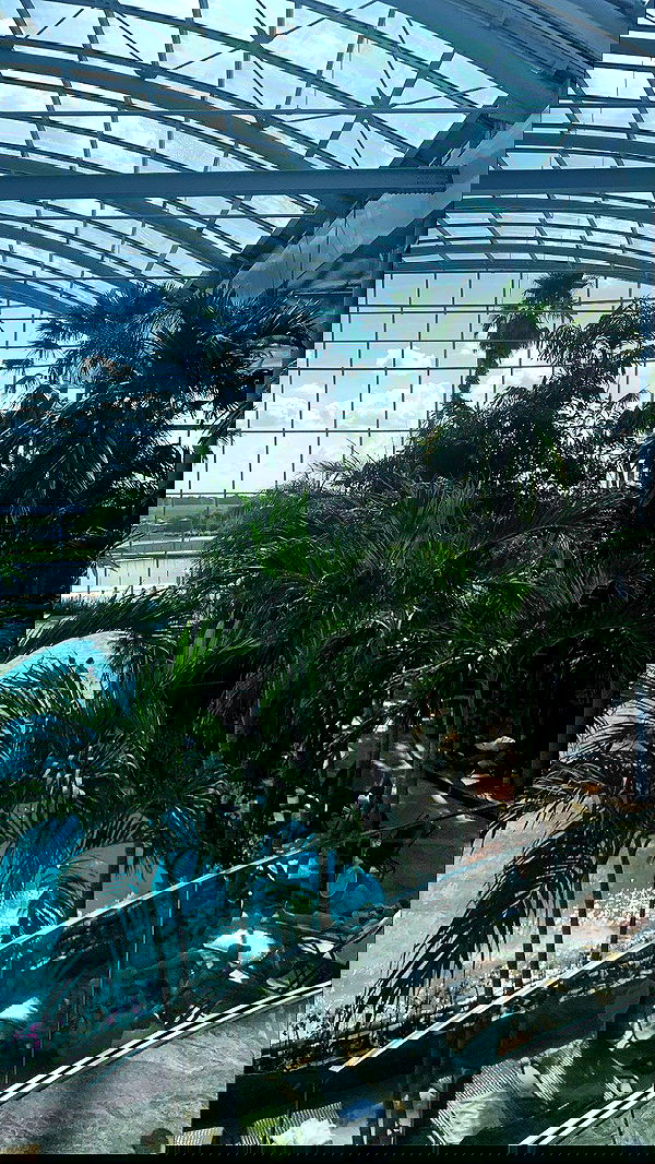 rene2141 rene2141 archive image