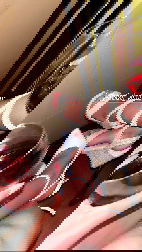 rene2141 rene2141 archive image