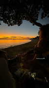 rhiannonmates Altpins Profile Picture