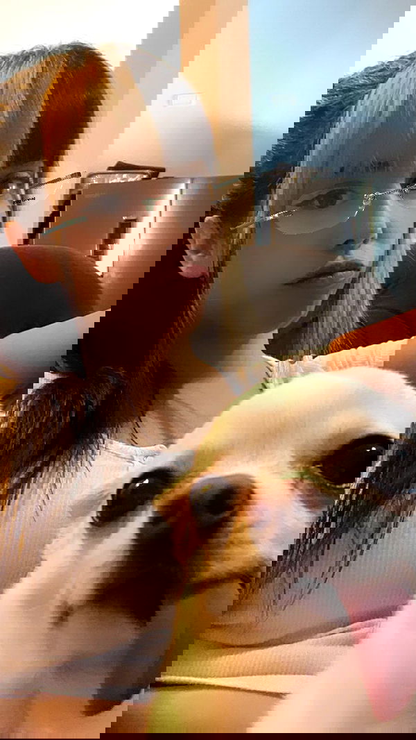 rinsrain rinsrain archive image