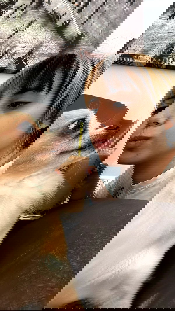 rinsrain rinsrain archive image