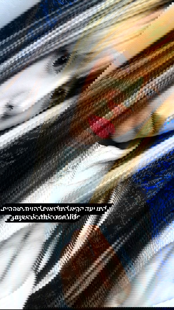 rinsrain rinsrain archive image