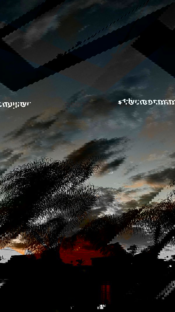 rinsrain rinsrain archive image