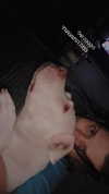 rita_kleiman Altpins Profile Picture