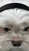romitalblt Altpins Profile Picture