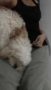romitalblt Altpins Profile Picture