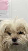 romitalblt Altpins Profile Picture