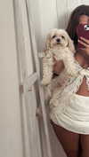 romitalblt Altpins Profile Picture