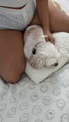 romitalblt Altpins Profile Picture
