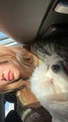 romitalblt Altpins Profile Picture
