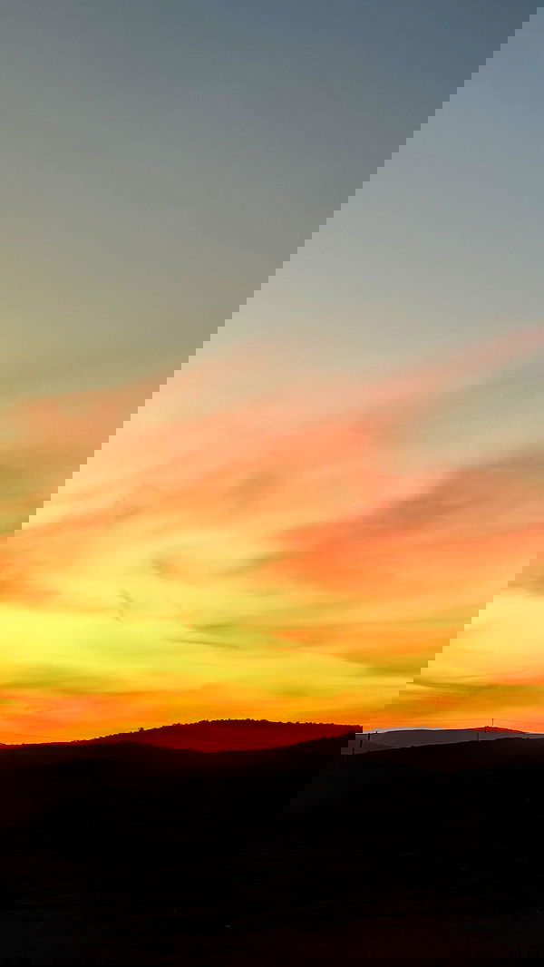 romy_ayalla_lavi romy_ayalla_lavi archive image