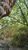 romy_lavi Altpins Profile Picture