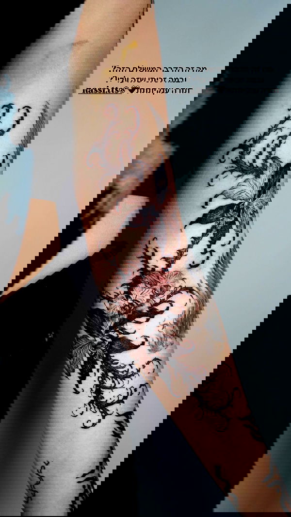 romy_lavi romy_lavi archive image