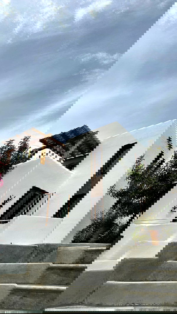 roni.benshushan roni.benshushan archive image