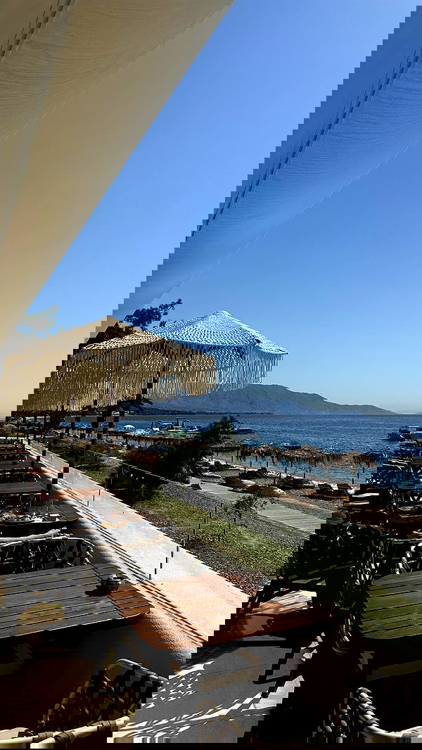 roni.benshushan roni.benshushan archive image