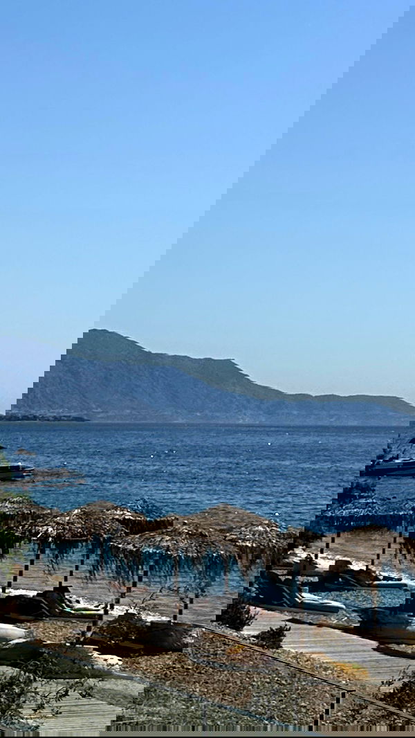 roni.benshushan roni.benshushan archive image