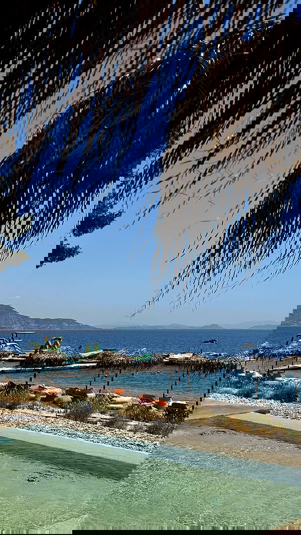 roni.benshushan roni.benshushan archive image