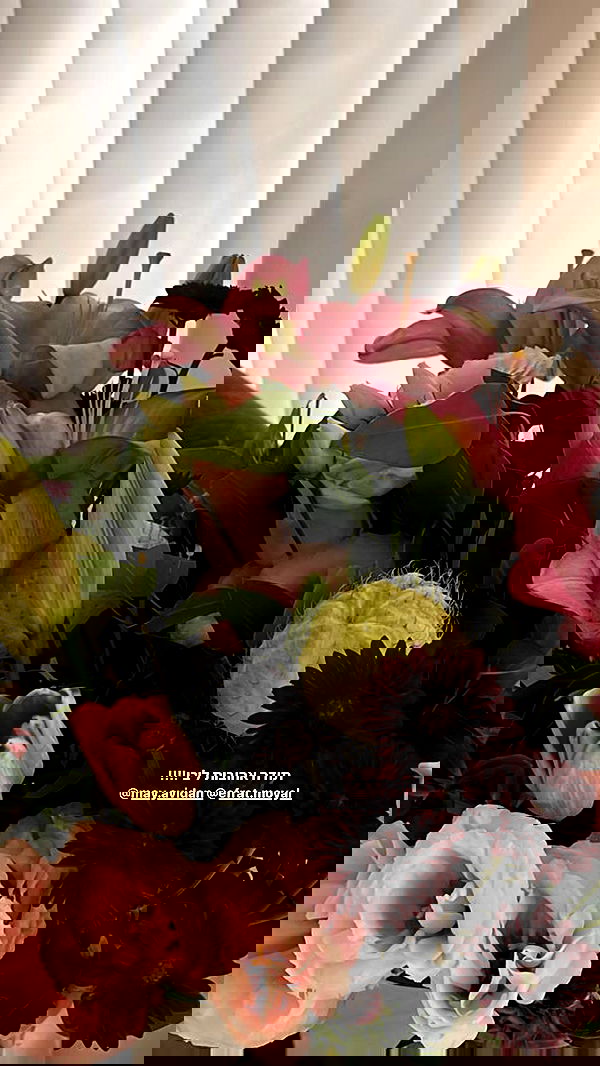 roni.benshushan roni.benshushan archive image