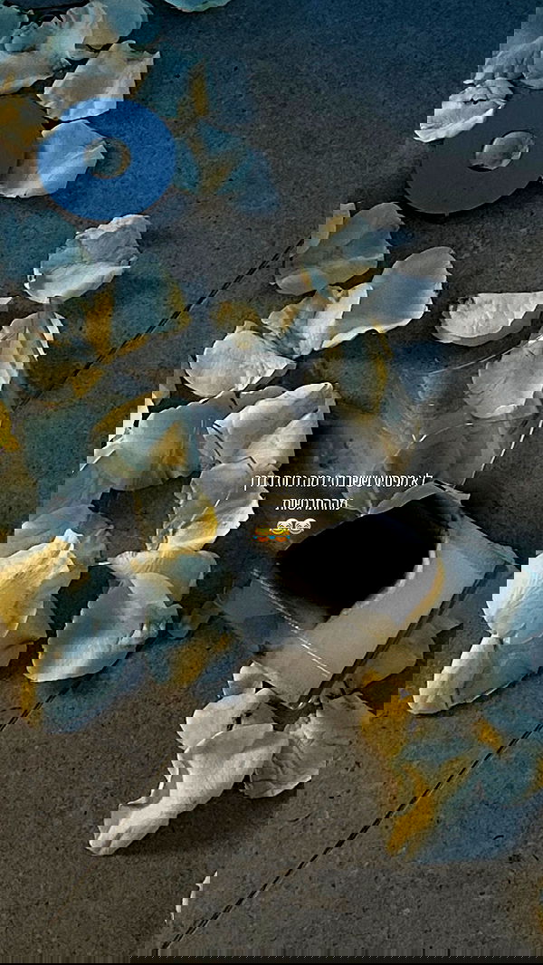 roni.benshushan roni.benshushan archive image