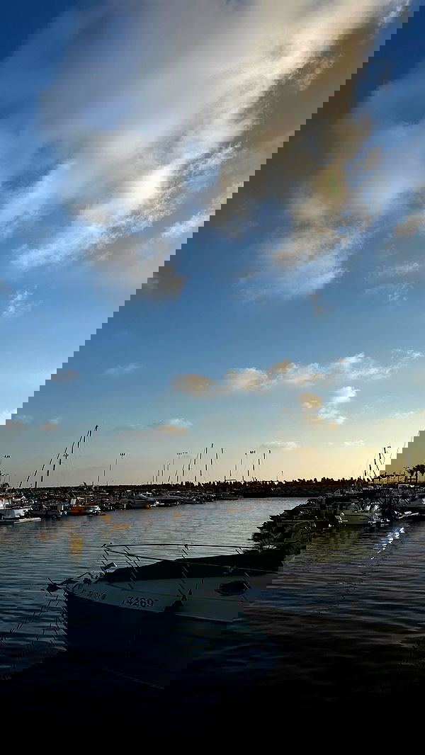 roni.benshushan roni.benshushan archive image