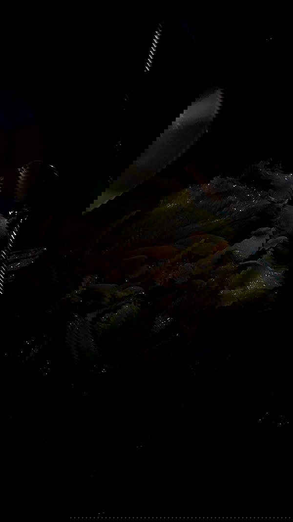 roni.benshushan roni.benshushan archive image