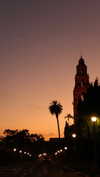 roni_ackerman Altpins Profile Picture