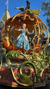 roni_ackerman Altpins Profile Picture
