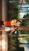 roni_ackerman Altpins Profile Picture