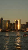 roni_ackerman Altpins Profile Picture
