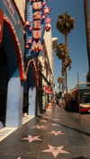 roni_ackerman Altpins Profile Picture