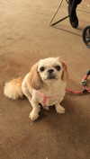 roni_ackerman Altpins Profile Picture