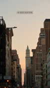 roni_ackerman Altpins Profile Picture