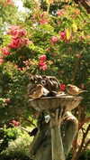 roni_ackerman Altpins Profile Picture