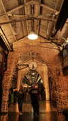 roni_ackerman Altpins Profile Picture