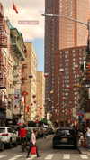 roni_ackerman Altpins Profile Picture