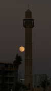 roni_ackerman Altpins Profile Picture
