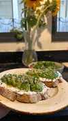roni_ackerman Altpins Profile Picture