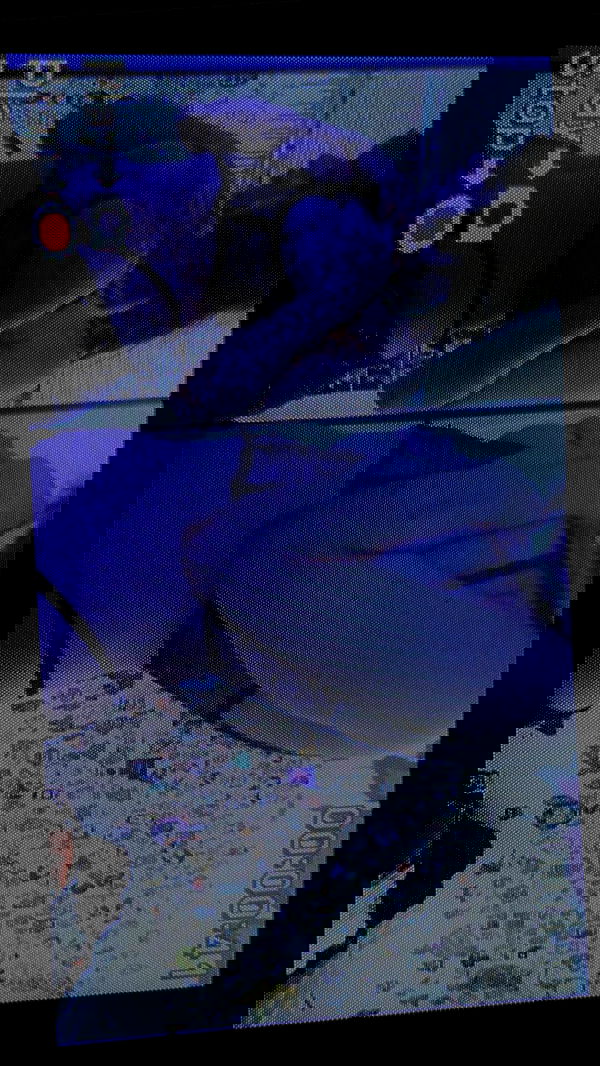 rose_xanne rose_xanne archive image