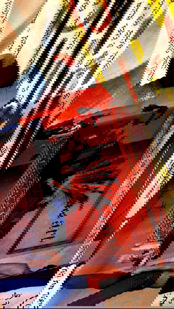 rose_xanne rose_xanne archive image