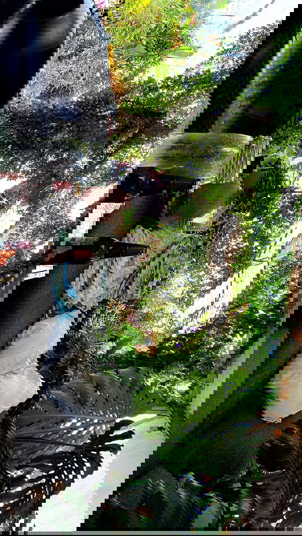 rose_xanne rose_xanne archive image