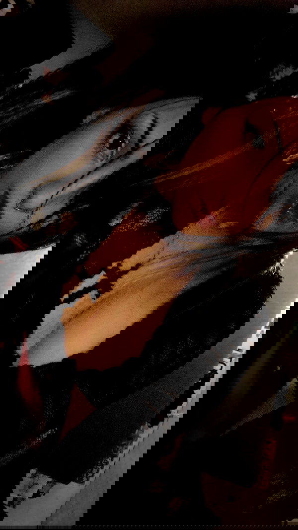 rose_xanne rose_xanne archive image